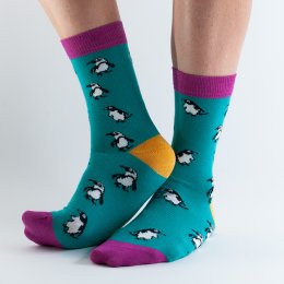 Doris & Dude Teal Penguin Socks - UK3-7