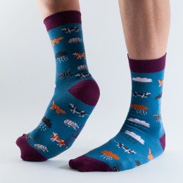 Doris & Dude Blue Raining Cats & Dogs Socks - UK3-7