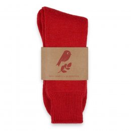 Matt Sewell Hiking Socks - Red